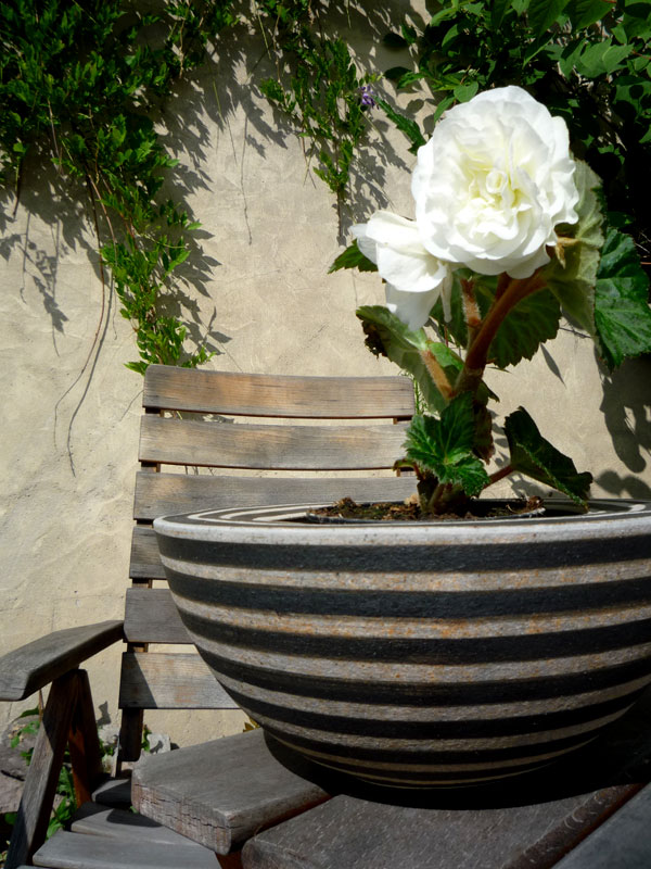 P1010316.jpg - ...der Terrasse...