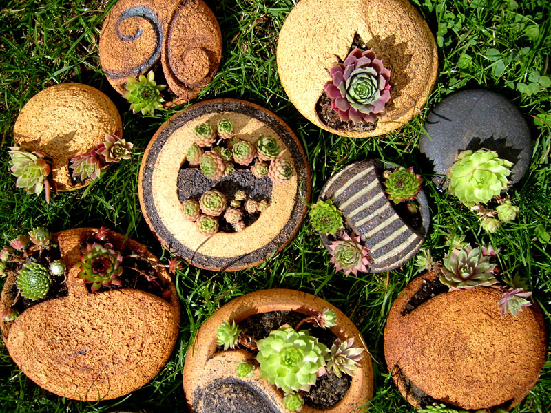 S7000697.JPG - Bereits bepflanzt ein wunderbares Geschenk